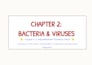 create neat handwritten lecture and book notes